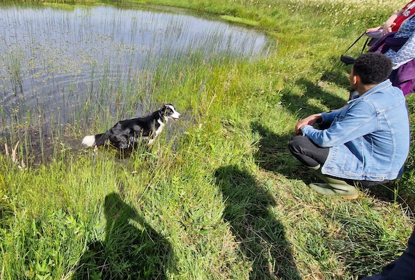 Pond