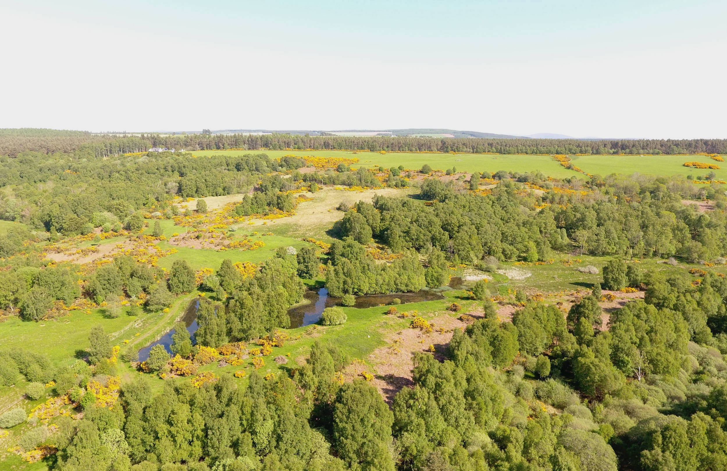 DJI_0049Bcso-copy.jpg