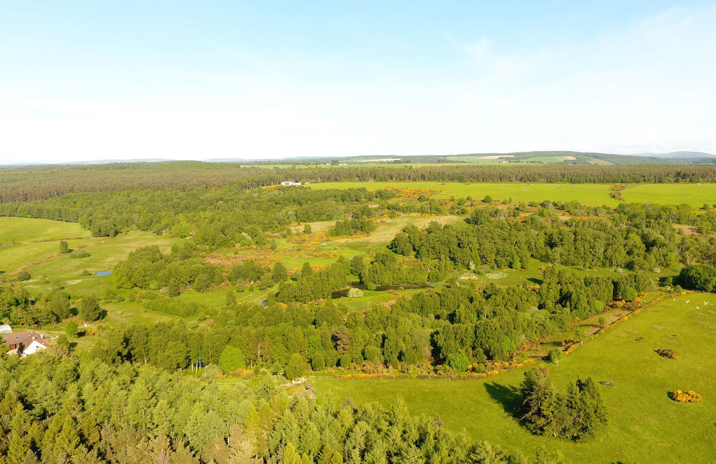 DJI_0145-copy.jpg
